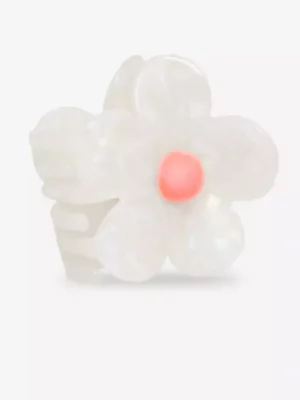 Pince - Flora
