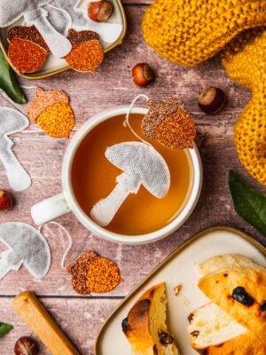 Sachets de thé - Champignon x5