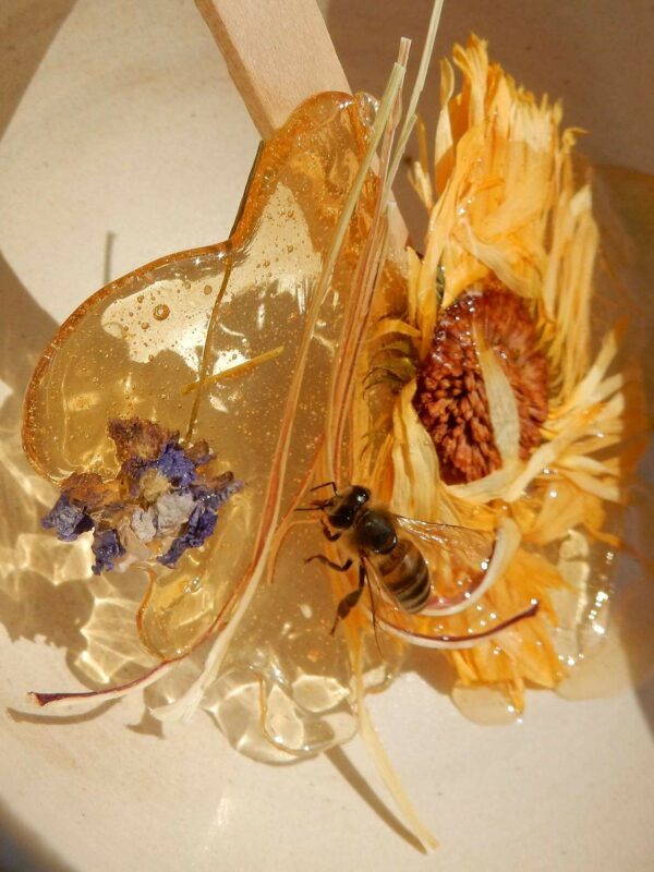 Infusions aux fleurs et au miel