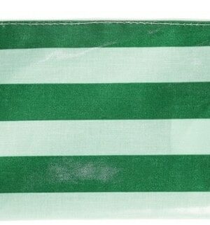 Trousse - Rayures vertes