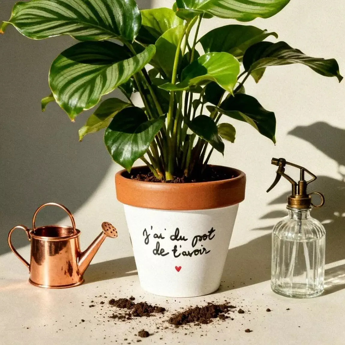 Pot de fleur - J'ai du pot de t'avoir – Image 2