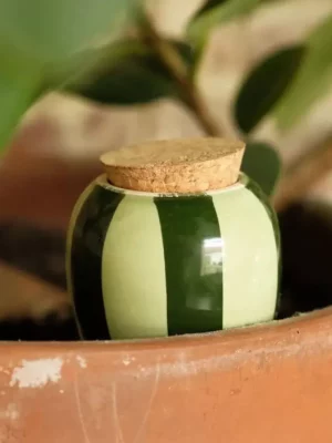 OLLA - Rayé vert