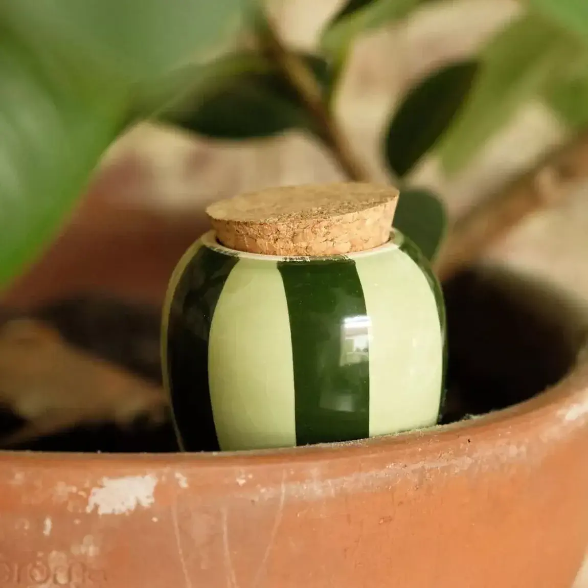 OLLA - Rayé vert – Image 2