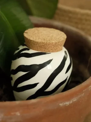 OLLA - Zèbre
