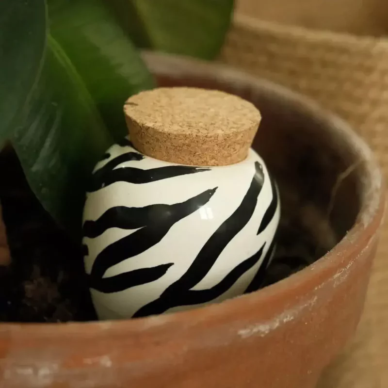 OLLA - Zèbre – Image 2