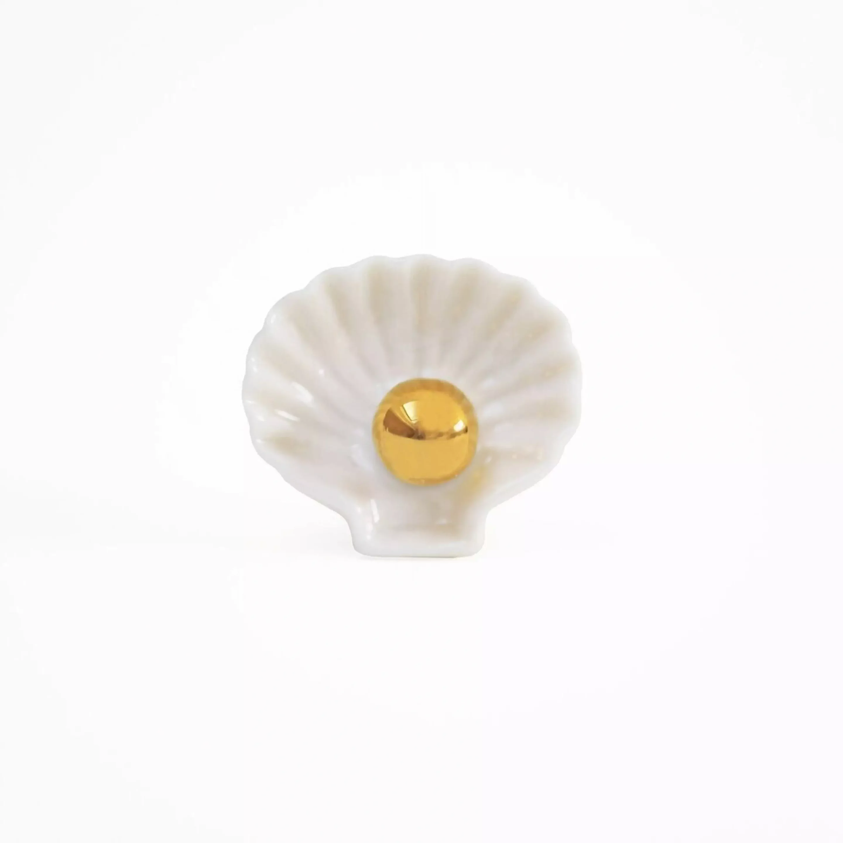 Fève Coquillage – Image 3