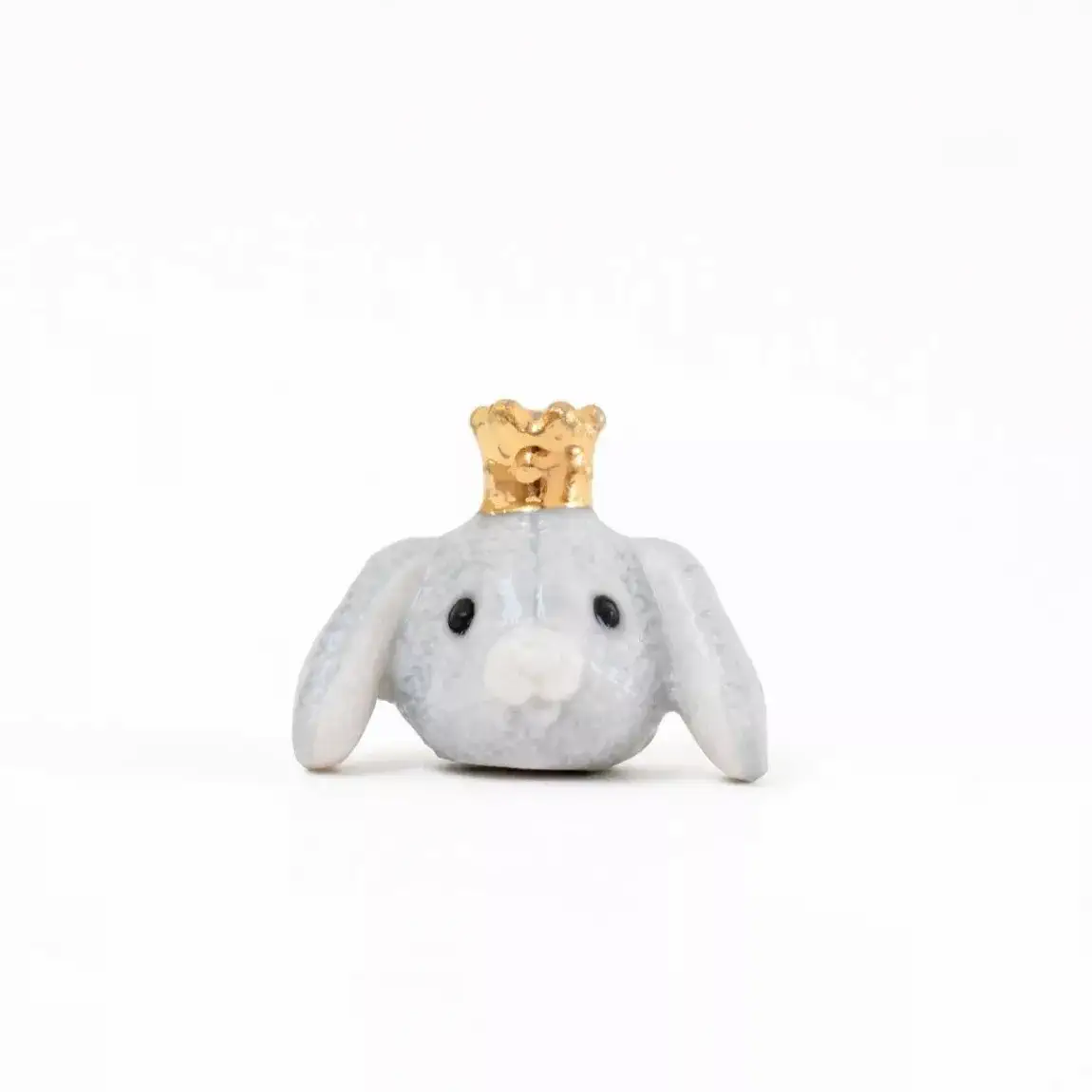 Fève Lapin – Image 3