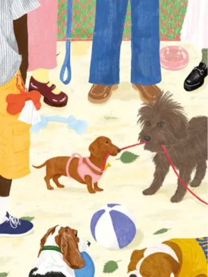 Mini puzzle - Sortir le chien