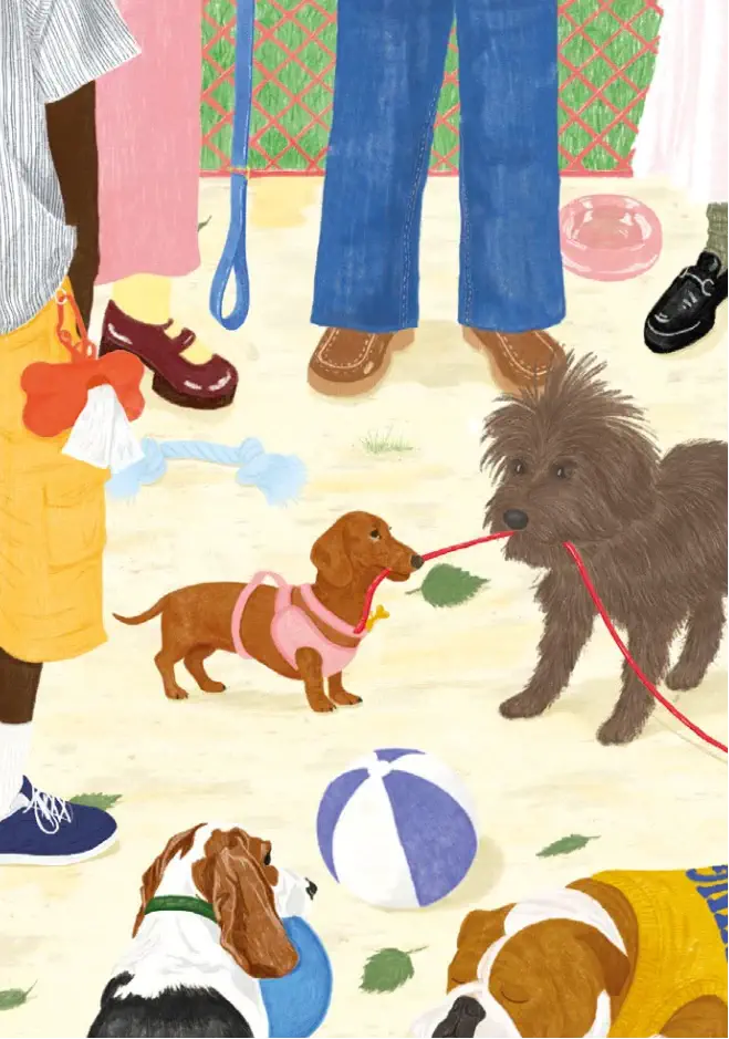 Mini puzzle - Sortir le chien – Image 2