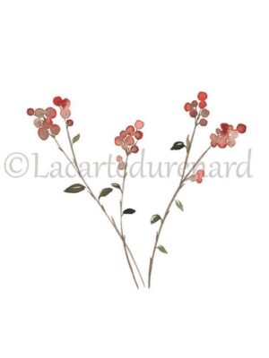 Carte Voeux Baies d'hiver