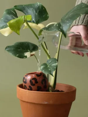 OLLA - Brown Léopard