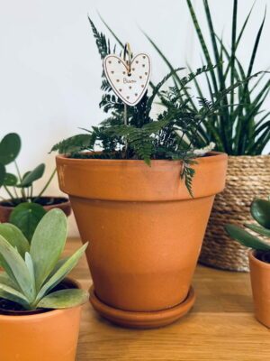 Pic botanique - Bisou