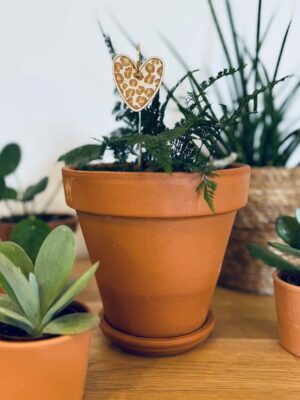 Pic botanique - Coeur léopard