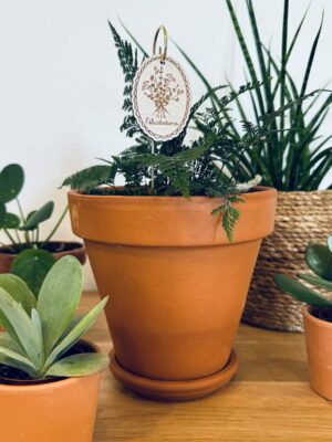 Pic botanique - Félicitations