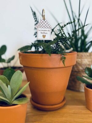 Pic botanique - La maison du bonheur