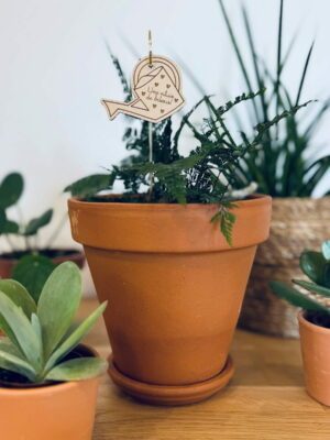 Pic botanique - L’arrosoir