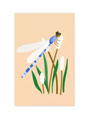 Mini carte - Libellule