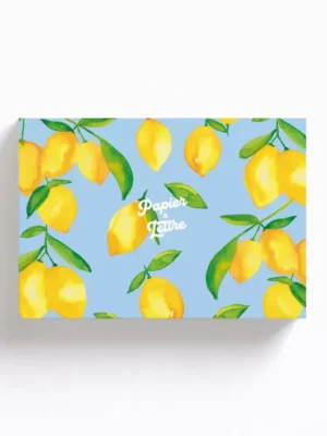 Coffret de Papier à Lettre Citrons