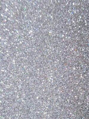 Paillettes - Holo argenté fines