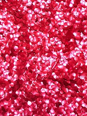 Paillettes - Rouge Moyennes