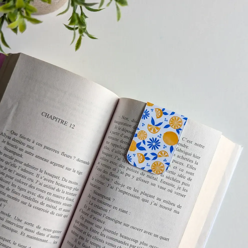 Marque-Page Magnétique – Citrons – Image 2