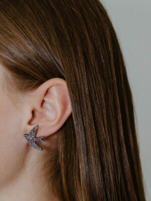 Boucles - Hirondelles
