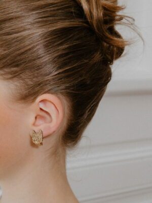 Boucles clips - Chats