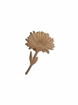 Pin's Soléa