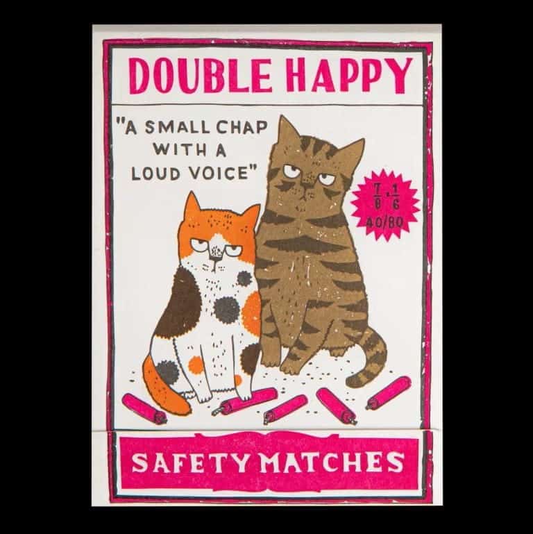 Livre d'allumettes - Double happy kitten
