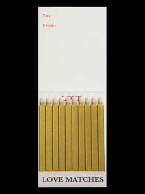 Livre d'allumettes - Love ballons